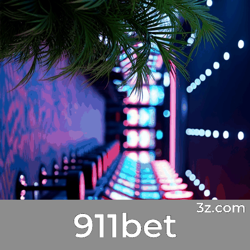 911bet ssl image